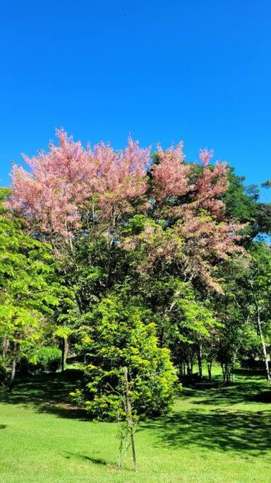 Recanto Dos Beija Flores, Chale Bougainville Monte Alegre do Sul Exterior foto