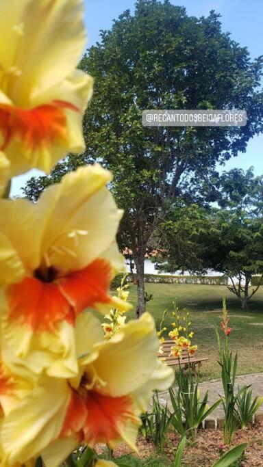 Recanto Dos Beija Flores, Chale Bougainville Monte Alegre do Sul Exterior foto